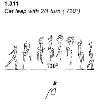 G1_C_Cat Leap 720